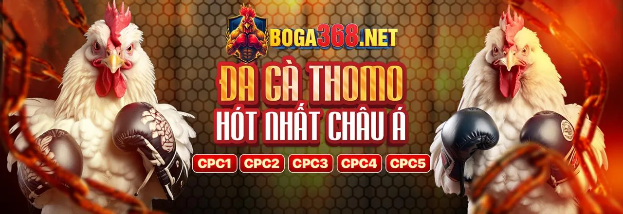 Hình ảnh hỗ trợ khách hàng chuyên nghiệp của tải banca05